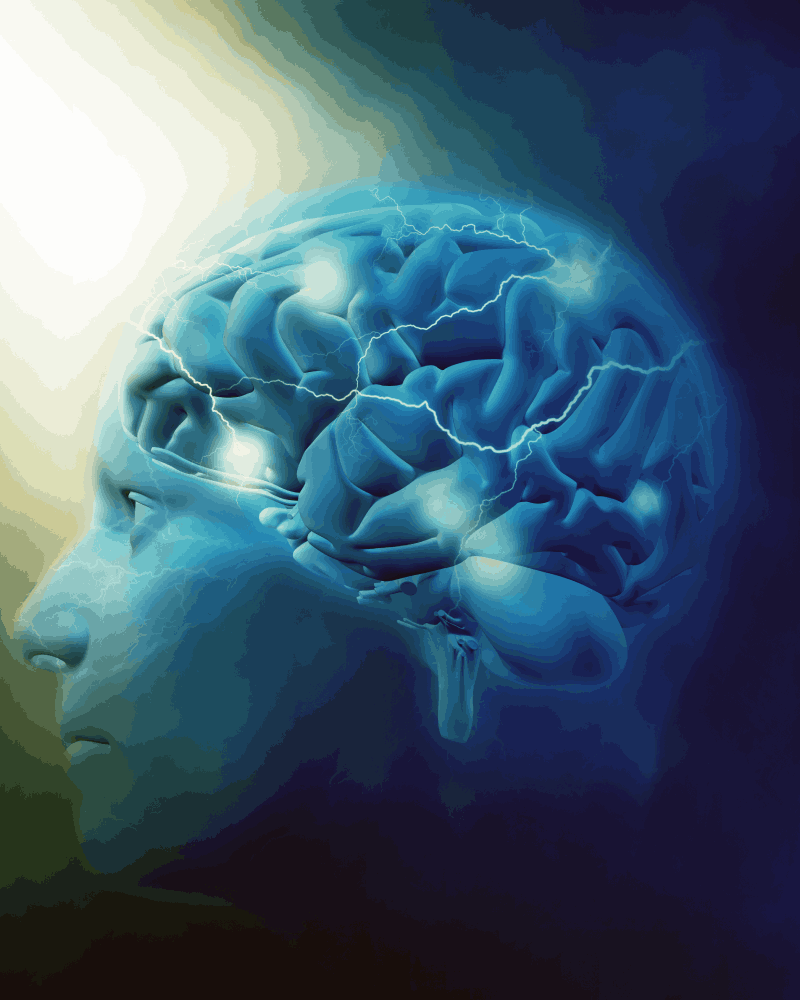 Evaluación de Neurocirujano Precio